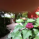 Olive Garden