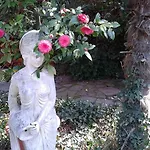 Lejlighed Olive Garden