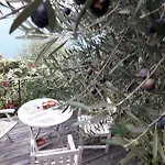 Olive Garden *