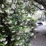 Lejlighed Olive Garden