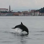 Appartement Olive Garden Piran
