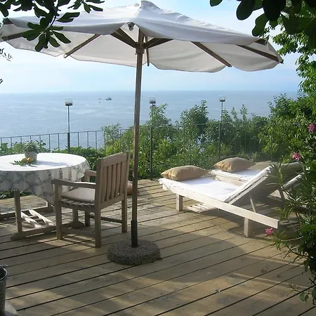 Apartment Olive Garden Piran