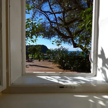 Olive Garden Apartment Piran