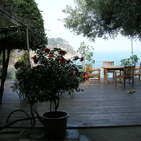 Olive Garden Piran