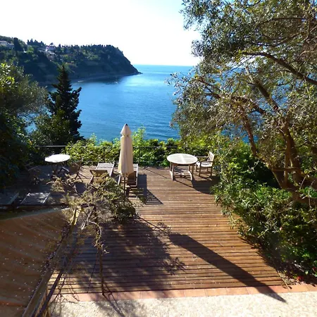 Olive Garden * Piran