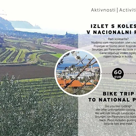 Lejlighed Olive Garden Piran