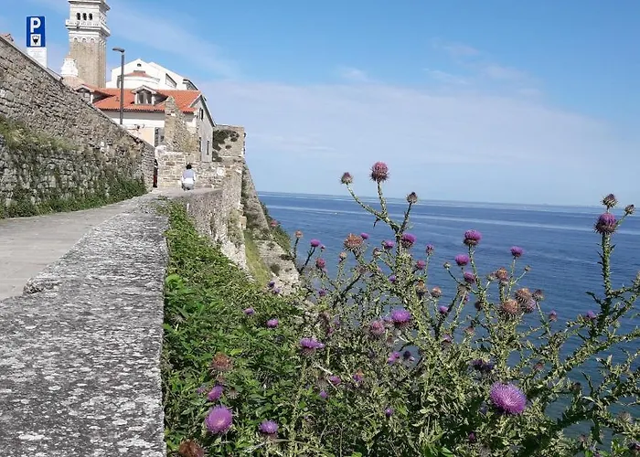 Olive Garden Διαμέρισμα