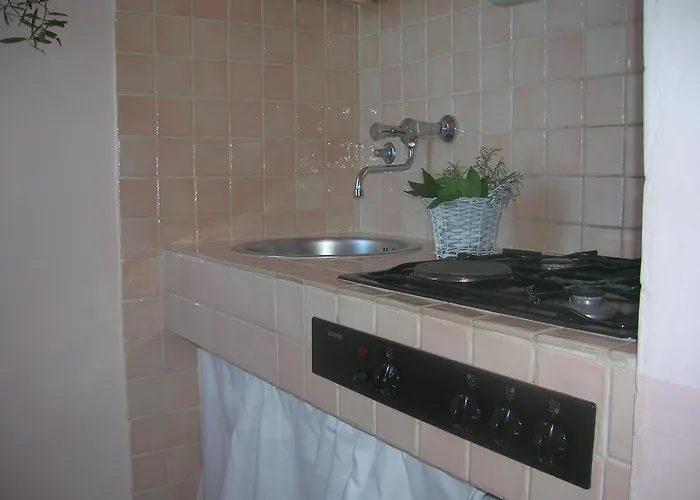 公寓 Olive Garden *