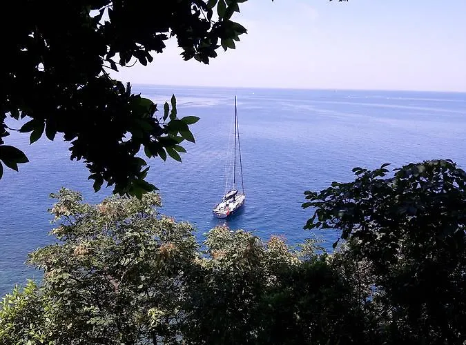 Olive Garden 公寓 *