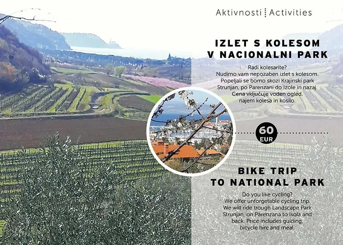 Апартаменты Olive Garden Пиран